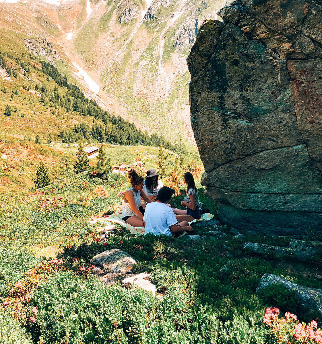 Picknick auf der Alm